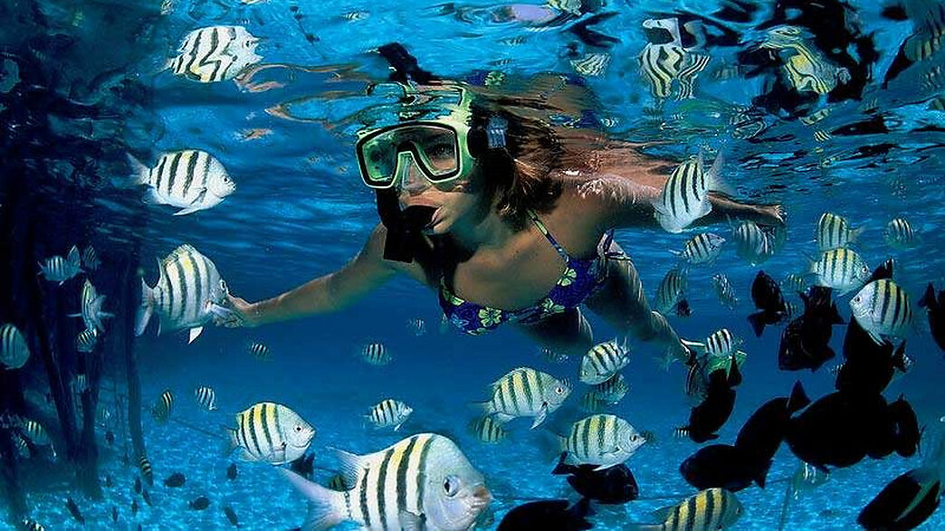 Reload Activities - Excursión de snorkel en Cap de Creus, Costa Brava, desde Empuriabrava